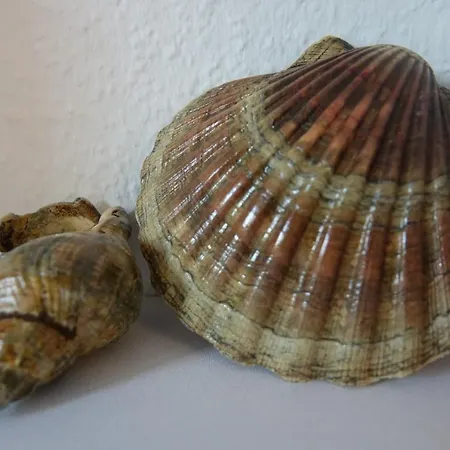 Ferienwohnung Appartement